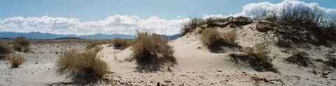 Desert and dunes near Yuha Wells