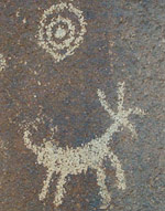 Detail of petroglyphs near Sears Point