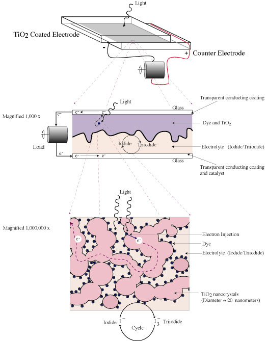 Diagram showing how dye-sensitized solar cells work